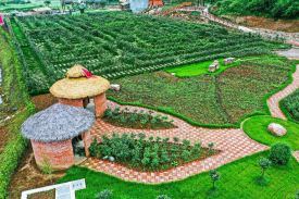 云南省中草药种植旅行康养小镇建设项目可行性研究报告